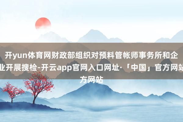 开yun体育网财政部组织对预料管帐师事务所和企业开展搜检-开云app官网入口网址·「中国」官方网站